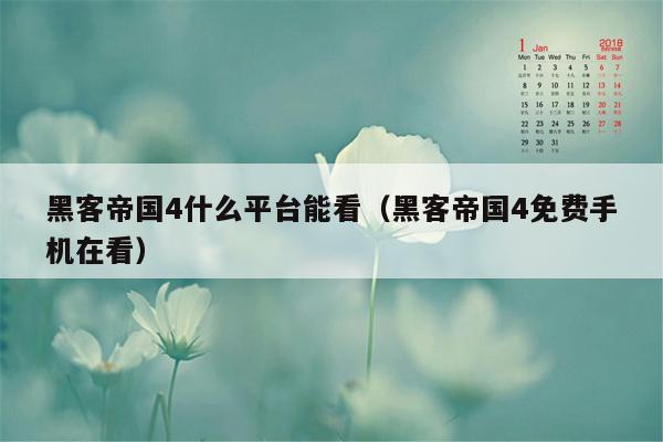 黑客帝国4什么平台能看（黑客帝国4免费手机在看）