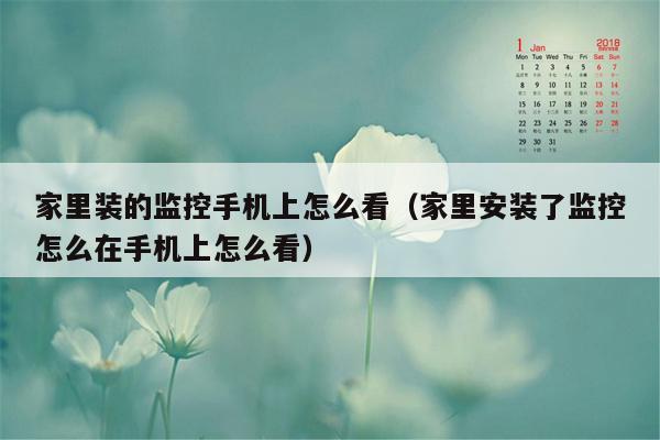 家里装的监控手机上怎么看（家里安装了监控怎么在手机上怎么看）