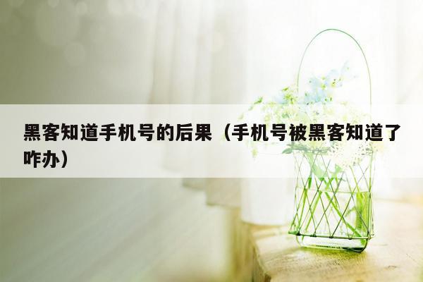 黑客知道手机号的后果（手机号被黑客知道了咋办）