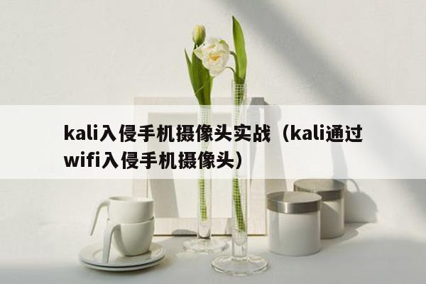 kali入侵手机摄像头实战（kali通过wifi入侵手机摄像头）