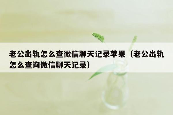 老公出轨怎么查微信聊天记录苹果（老公出轨怎么查询微信聊天记录）