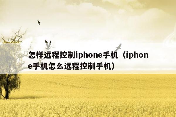 怎样远程控制iphone手机（iphone手机怎么远程控制手机）