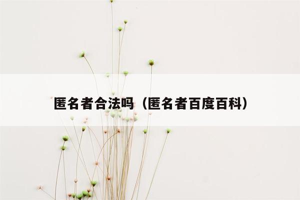 匿名者合法吗（匿名者百度百科）