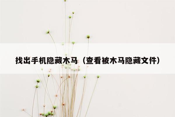 找出手机隐藏木马（查看被木马隐藏文件）