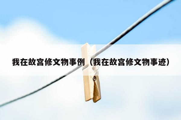 我在故宫修文物事例（我在故宫修文物事迹）