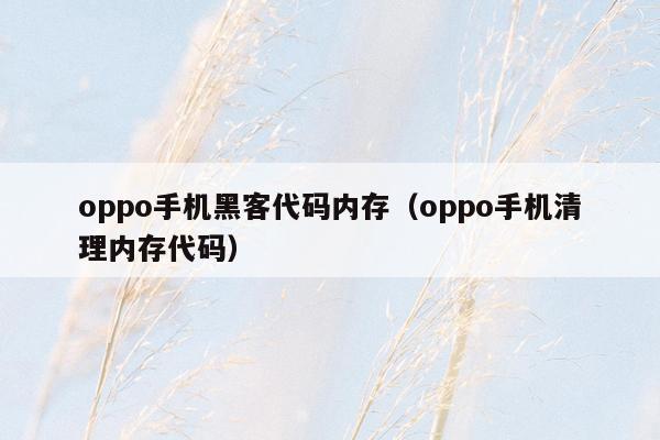 oppo手机黑客代码内存（oppo手机清理内存代码）