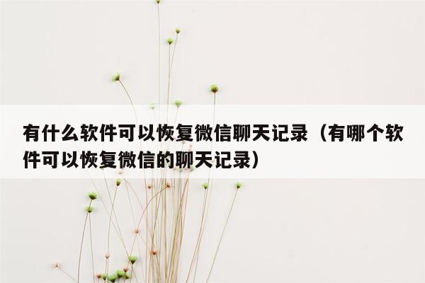 有什么软件可以恢复微信聊天记录（有哪个软件可以恢复微信的聊天记录）