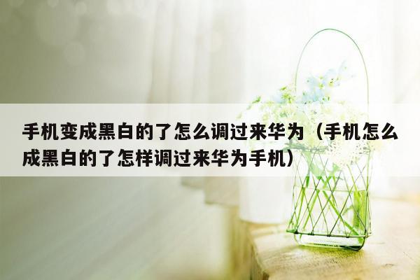 手机变成黑白的了怎么调过来华为（手机怎么成黑白的了怎样调过来华为手机）