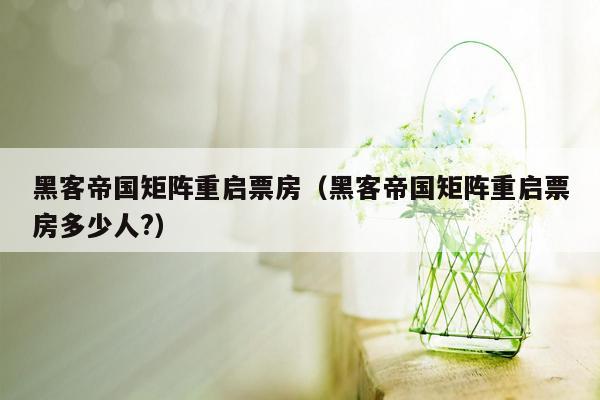 黑客帝国矩阵重启票房（黑客帝国矩阵重启票房多少人?）