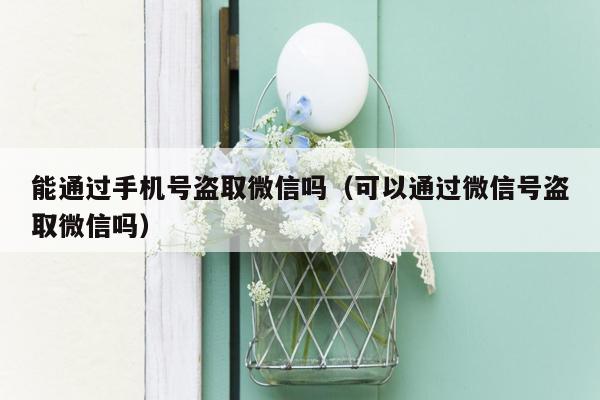 能通过手机号盗取微信吗（可以通过微信号盗取微信吗）