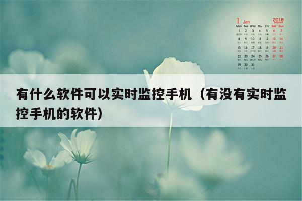 有什么软件可以实时监控手机（有没有实时监控手机的软件）