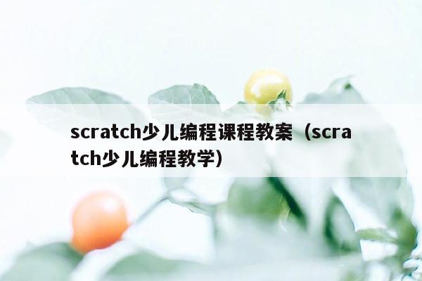 scratch少儿编程课程教案（scratch少儿编程教学）