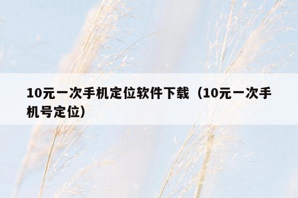 10元一次手机定位软件下载（10元一次手机号定位）