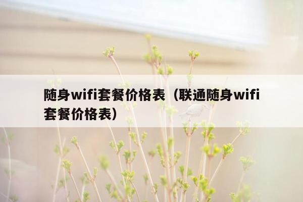 随身wifi套餐价格表（联通随身wifi套餐价格表）