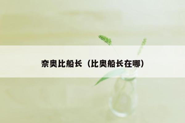 奈奥比船长（比奥船长在哪）