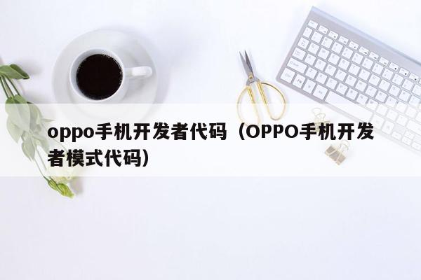 oppo手机开发者代码（OPPO手机开发者模式代码）