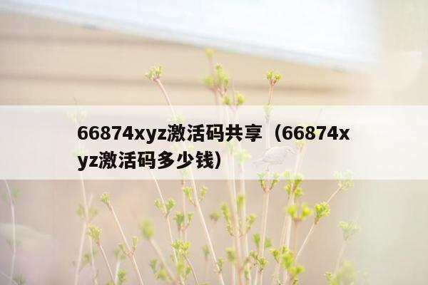 66874xyz激活码共享（66874xyz激活码多少钱）