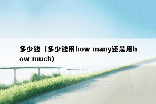 多少钱（多少钱用how many还是用how much）