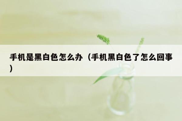 手机是黑白色怎么办（手机黑白色了怎么回事）