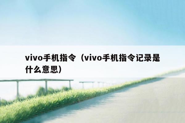 vivo手机指令（vivo手机指令记录是什么意思）