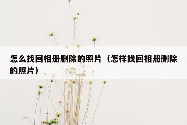 怎么找回相册删除的照片（怎样找回相册删除的照片）