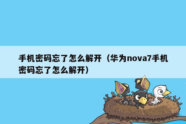 手机密码忘了怎么解开（华为nova7手机密码忘了怎么解开）