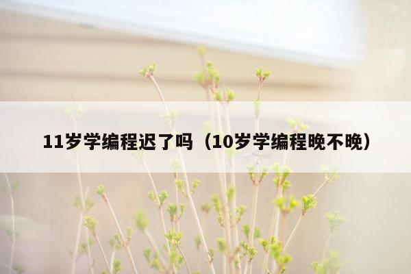 11岁学编程迟了吗（10岁学编程晚不晚）