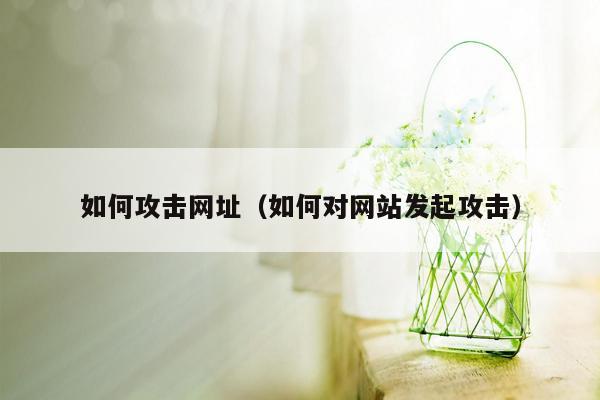 如何攻击网址（如何对网站发起攻击）