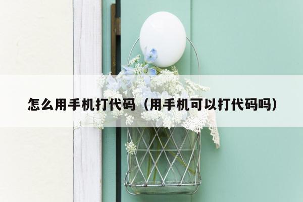 怎么用手机打代码（用手机可以打代码吗）