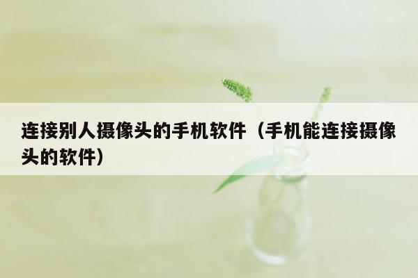 连接别人摄像头的手机软件（手机能连接摄像头的软件）