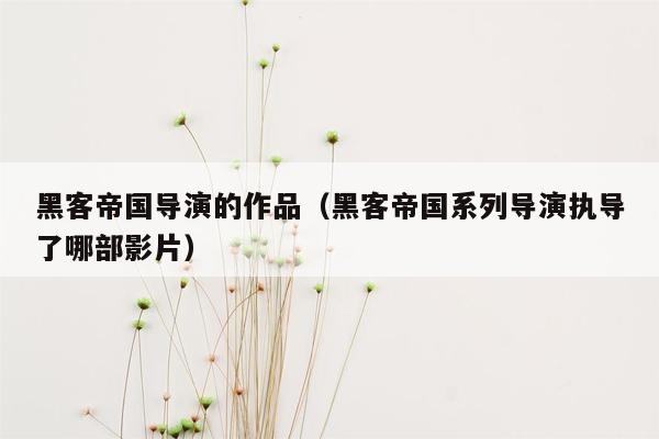 黑客帝国导演的作品（黑客帝国系列导演执导了哪部影片）