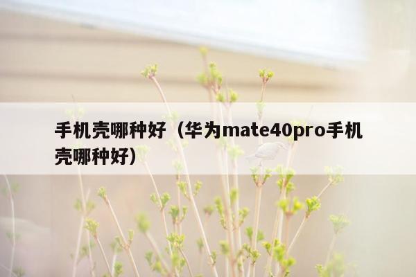 手机壳哪种好（华为mate40pro手机壳哪种好）