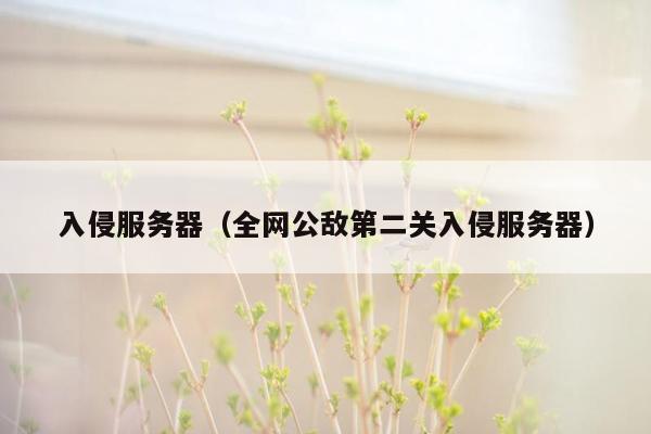 入侵服务器（全网公敌第二关入侵服务器）