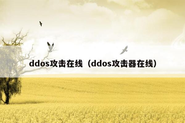 ddos攻击在线（ddos攻击器在线）