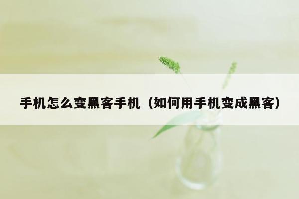 手机怎么变黑客手机（如何用手机变成黑客）