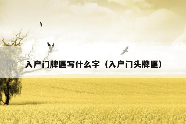 入户门牌匾写什么字（入户门头牌匾）