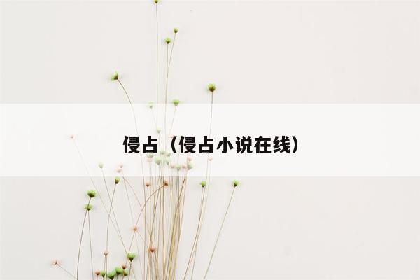 侵占（侵占小说在线）