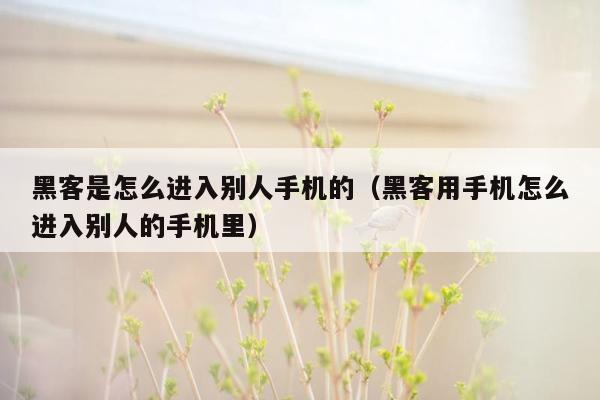 黑客是怎么进入别人手机的（黑客用手机怎么进入别人的手机里）