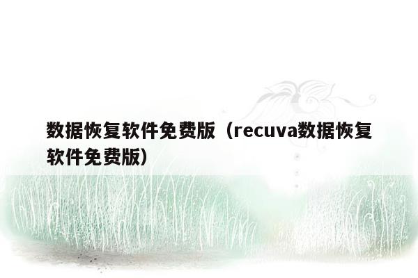 数据恢复软件免费版（recuva数据恢复软件免费版）