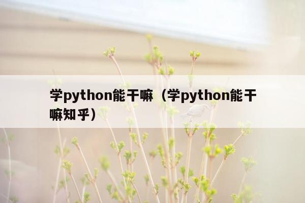 学python能干嘛（学python能干嘛知乎）