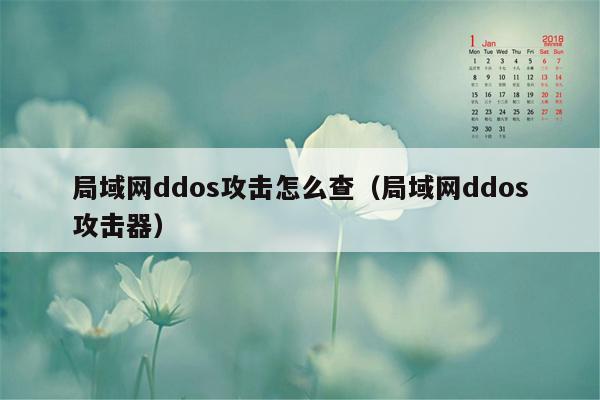 局域网ddos攻击怎么查（局域网ddos攻击器）