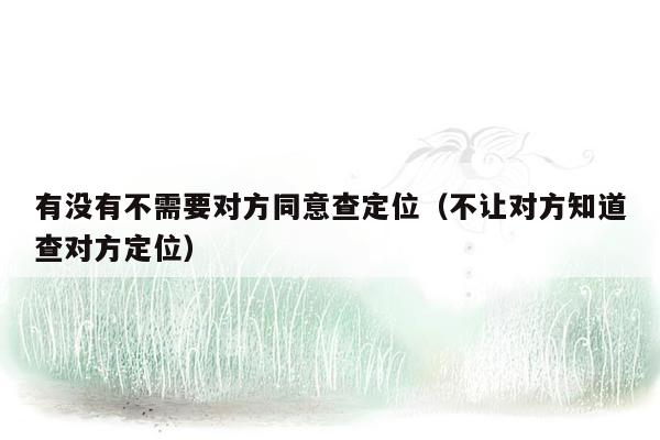 有没有不需要对方同意查定位（不让对方知道查对方定位）