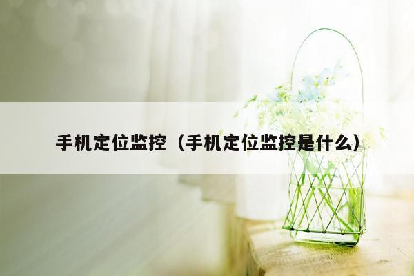 手机定位监控（手机定位监控是什么）