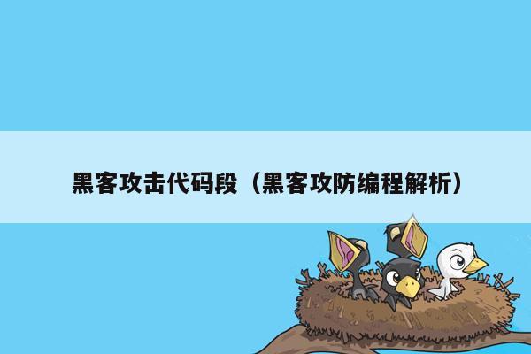 黑客攻击代码段（黑客攻防编程解析）