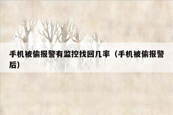 手机被偷报警有监控找回几率（手机被偷报警后）