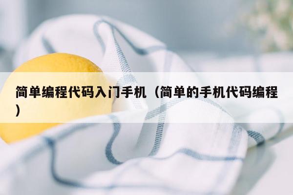 简单编程代码入门手机（简单的手机代码编程）