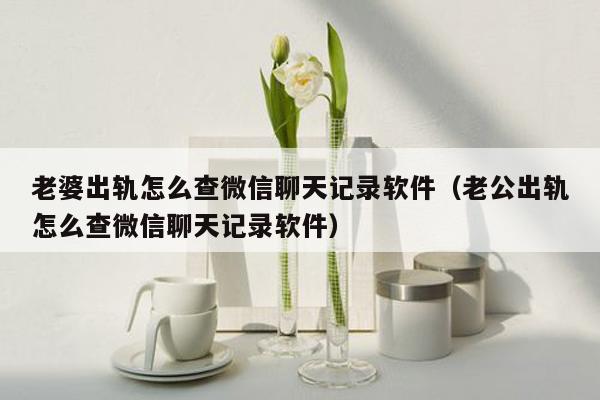 老婆出轨怎么查微信聊天记录软件（老公出轨怎么查微信聊天记录软件）