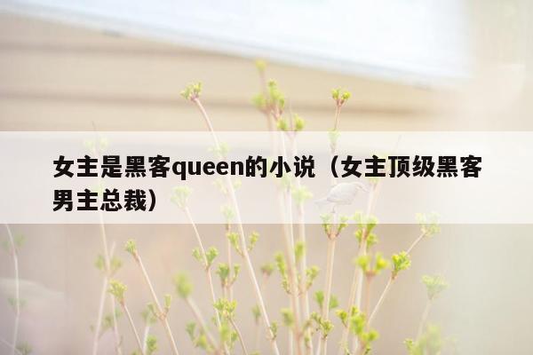 女主是黑客queen的小说（女主顶级黑客男主总裁）