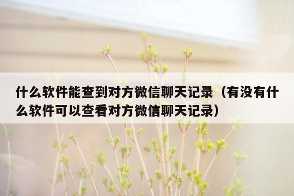 什么软件能查到对方微信聊天记录（有没有什么软件可以查看对方微信聊天记录）