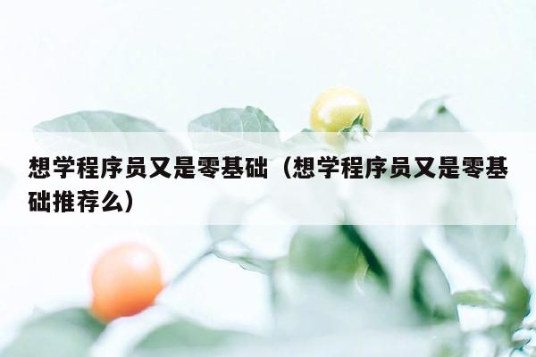 想学程序员又是零基础（想学程序员又是零基础推荐么）